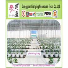 Popular up Mini Greenhouse Tree Planting Bag